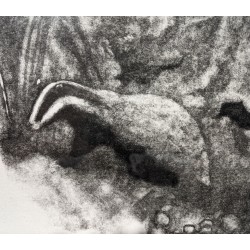 Engraving entitled "Badgers", signed HAINARD