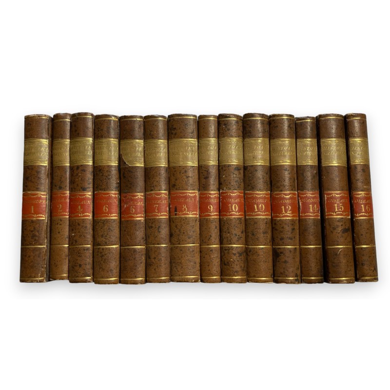 Collection de 14 livres par BUFFON
