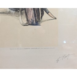 Lithograph: ‘The Soldiers’ Rest’ by F. ROUGE