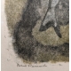 Gravure "Deux hotus", signée Robert HAINARD