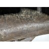 Model 1855 dragon cuirass