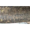 Model 1855 dragon cuirass