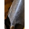 Bronze \"Truite\" de Charles REUSSNER