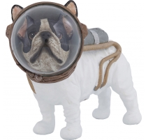 Bull-dog astronaute