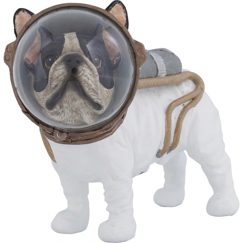 Bull-dog astronaute
