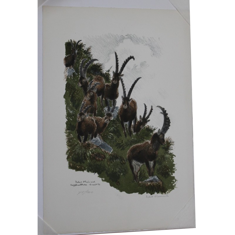 Lithograph entitled ‘Ibex’, signed by Robert HAINARD