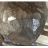 Bronze \"Hibou moyen-duc\" signé Robert HAINARD