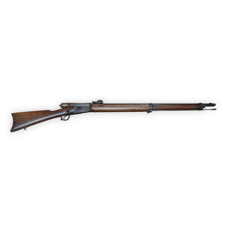 Veterli 1869 rifle
