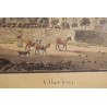 Engraving ‘Oberbipp’ by WEIBEL
