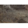 Tableau sépia \"Lac des 4 Cantons\" signé G. CLOSS
