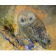 Tableau "Hibou" signé Jacques VALBRUN