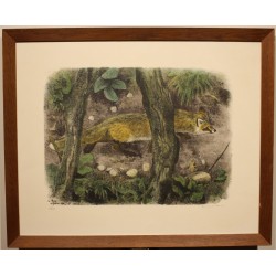 Engraving entitled ‘Fox on the Lookout’, signed RIME