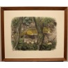Engraving entitled ‘Fox on the Lookout’, signed RIME