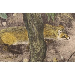 Engraving entitled ‘Fox on the Lookout’, signed RIME