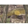 Engraving entitled ‘Fox on the Lookout’, signed RIME