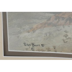 Aquarelle "Zèbre" signé Peter BRUCE 97