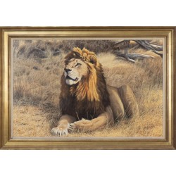 Tableau \"Kruger Lion\" signé Alastair PROUD