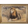 Tableau \"Kruger Lion\" signé Alastair PROUD