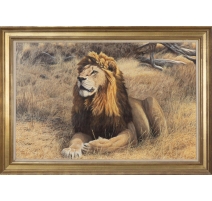 Tableau "Kruger Lion" signé Alastair PROUD