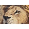 Tableau \"Kruger Lion\" signé Alastair PROUD