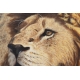 Tableau "Kruger Lion" signé Alastair PROUD