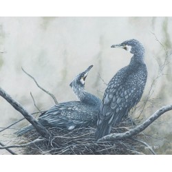 Tableau \"Cormorans\" signé Georges ROSSI