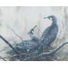 Tableau \"Cormorans\" signé Georges ROSSI