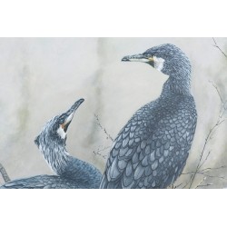 Tableau \"Cormorans\" signé Georges ROSSI