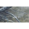 Tableau \"Cormorans\" signé Georges ROSSI