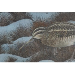 Gouache "Bécasse dans la neige" signé OKUNU
