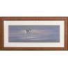 Pastel ‘Antelope’ signed by Paul B. DIXON 97