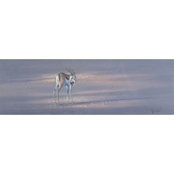 Pastel ‘Antelope’ signed by Paul B. DIXON 97