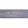 Pastel ‘Antelope’ signed by Paul B. DIXON 97