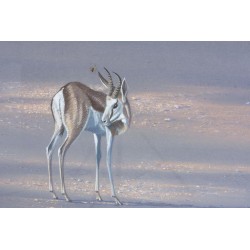Pastel ‘Antelope’ signed by Paul B. DIXON 97