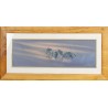 Pastel "Zèbres" signé Paul B. DIXON 97