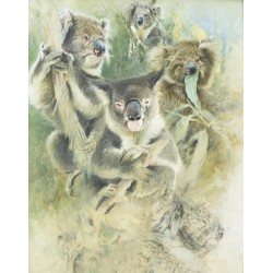 Tableau \"Koalas\" signé RAY HARRIS-CHING
