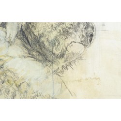 Tableau \"Koalas\" signé RAY HARRIS-CHING