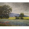 Tableau \"Champ de coquelicots\" signé BINDSCHEDLER