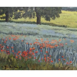 Tableau \"Champ de coquelicots\" signé BINDSCHEDLER