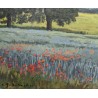 Tableau \"Champ de coquelicots\" signé BINDSCHEDLER