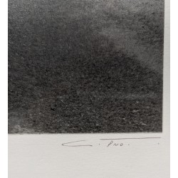 Signed photograph entitled "Cape Cod"