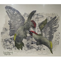 Gravure "Bagarre de pics-verts", signée HAINARD