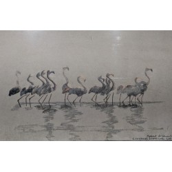 Gravure "Flamants roses", signée HAINARD