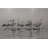 Gravure "Flamants roses", signée HAINARD