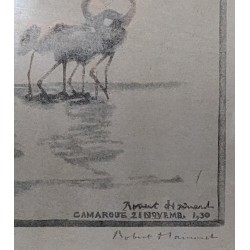 Gravure "Flamants roses", signée HAINARD