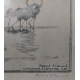 Gravure "Flamants roses", signée HAINARD