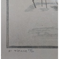Gravure "Flamants roses", signée HAINARD