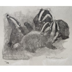 Gravure "Tas de blaireaux", signée HAINARD
