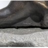 Loutre debout en bronze monté sur une pierre