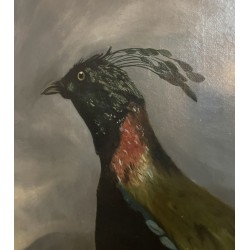 Tableau \"Oiseau\" signée S. BLACKBURN